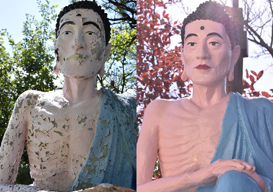 五色園 第11次修復活動のもよう